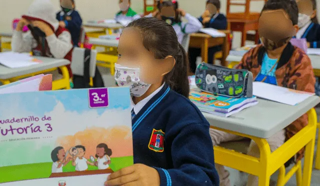Las escuelas privadas tienen autonomía para establecer qué exigir a los padres de familia previo al reinicio de clases. Foto: Andina