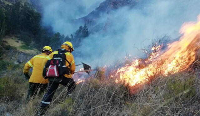 El centro del país registra más incendios forestales. Foto: La República