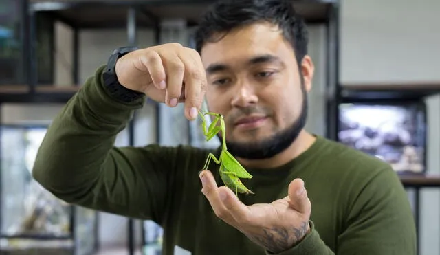 Moisés Paredes, responsable del proyecto Artrotheca con una mantis. Foto: La República