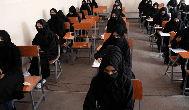 Hasta el momento, más de 1.000 alumnas en Irán han sido intoxicadas en docenas de colegios e institutos. Foto: Wakil Kohsar