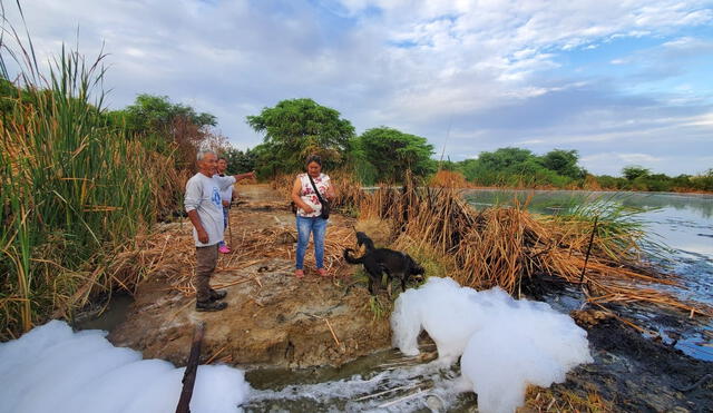 Se estiman cuantiosas pérdidas por el ingreso de aguas en mal estado a sembríos. Foto: La República