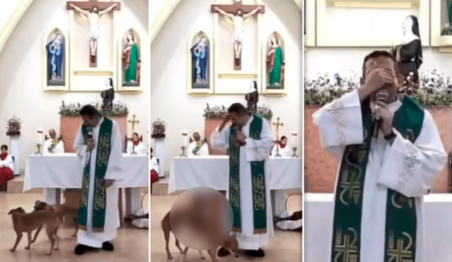 Los canes interrumpieron la misa llevada a cabo en una iglesia de Brasil. Foto: composición LR/TikTok/@Padrepierremauriciooficial