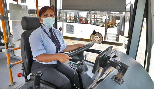 Más de 1.479 peruanas cuentan con licencia para manejar ómnibus urbano, interurbano, panorámico y articulado. Foto:  MTC