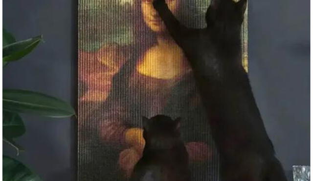 Las obras de arte sirven como rascadores para gatos. Foto: Ojo