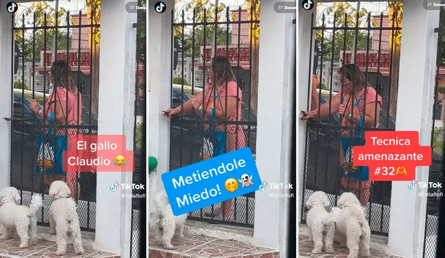 Muchos internautas se quedaron con la curiosidad de si entró Bruno a su casa. Foto: Composición de LR/TikTok/@Latiaflofi