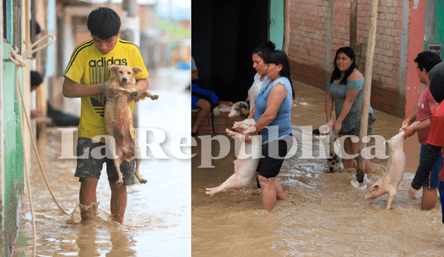 Dueños rescatan a sus animales. Foto: Clinton Medina.