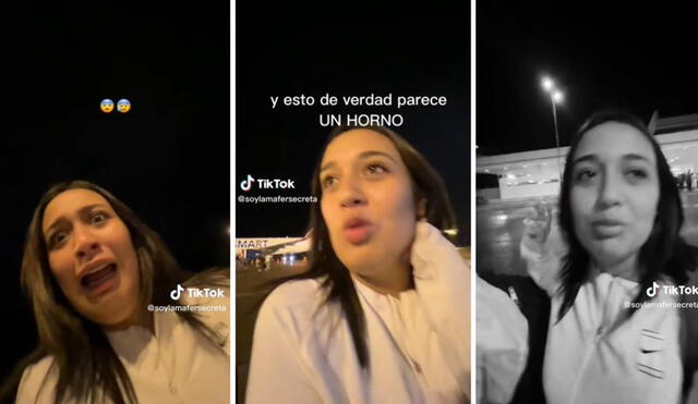 El video ha sumado más de dos millones de 2 millones de reproducciones en TikTok. Foto: composición LR/captura de TikTok/@soylamafersecreta