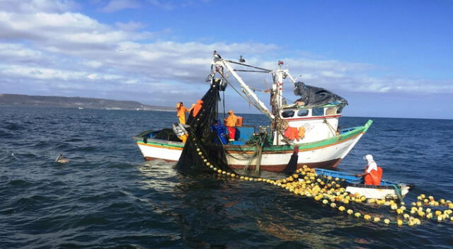La pesca es la mayor actividad de la costa peruana. Foto: difusión.
