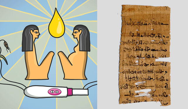 En el Antiguo Egipto usaban semillas para confirmar el embarazo de una mujer. Foto: ComposiciónLR/ Sobre esto y aquello/ Red Historia