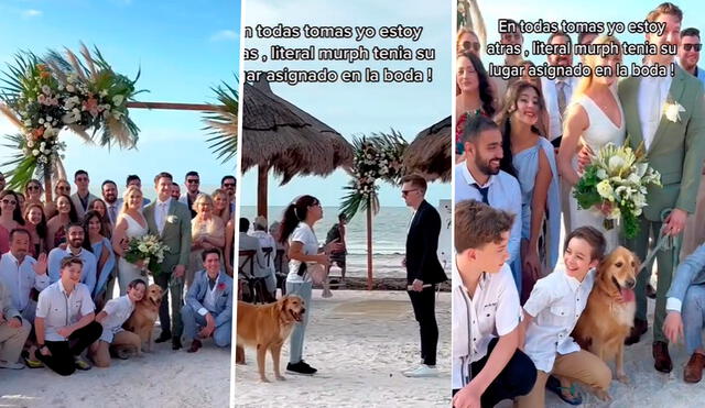 Murph el perrito influencer brilló en boda | Foto: Composición LoL - Instagram