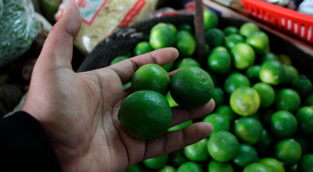 Precio del limón triplicó su precio en varios mercados de Tacna. Foto: La República