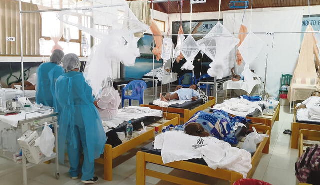 Casos. En Madre de Dios, Ucayali, Loreto y el norte del país ya se advierte un incremento de casos de dengue. La lluvia podría agravar esta situación. Foto: difusión