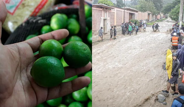 El limón ha sido de los productos más afectados en su precio por el ciclón Yaku. Foto: composición LR/La República/John Reyes