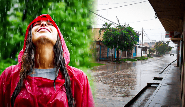 La geosmina, también conocida como 'aroma de la tierra', es uno de los componentes responsables del 'olor a lluvia'. Foto: composición LR/ Consalud/Invdes