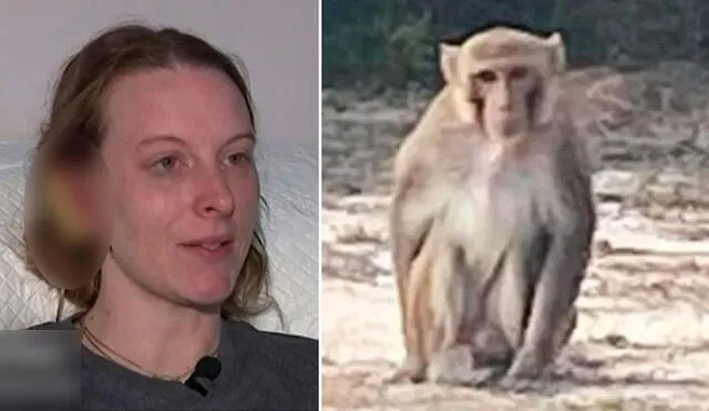 En el video viral se aprecia que el mono, totalmente descontrolado, apareció en la parte delantera de la casa de Brittany y la atacó sin piedad. Foto: captura/CNN