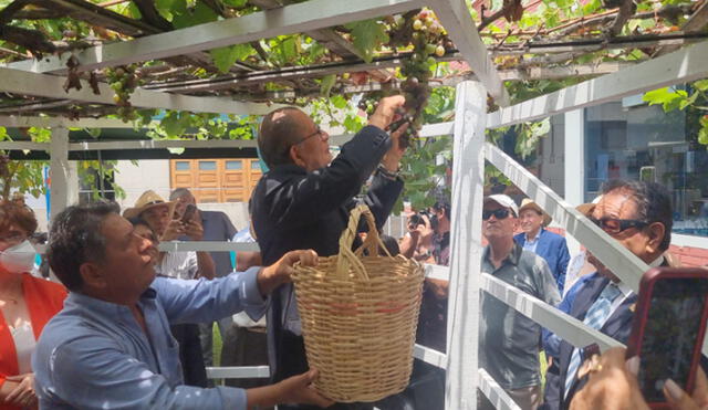 El festival de la Vendimia se realizó en Lima con la tradicional pisada de uvas y danzas típicas. Foto: Paolo Zegarra/ La República