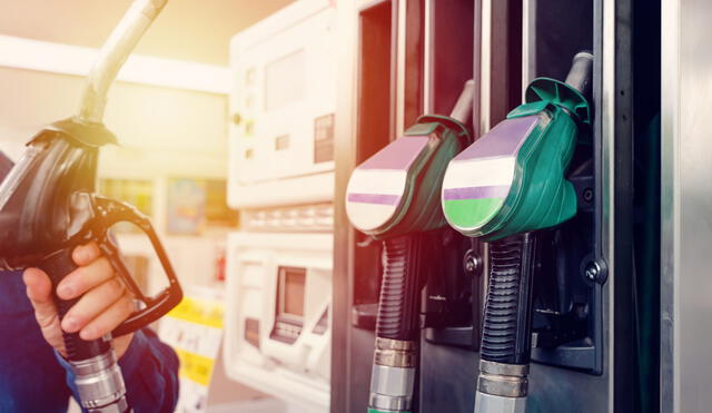 Desde el 1 de mayo del 2023 será obligatorio la comercialización de las gasolinas regular y premium nivel nacional. Foto: AAP