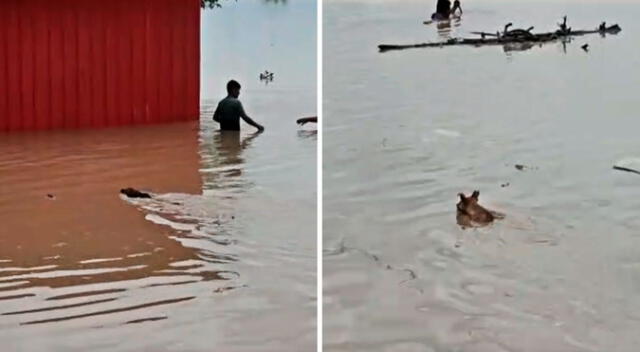 El ciclón Yaku provoca torrenciales lluvias en Lambayeque y, a su vez, el desborde del río La Leche.