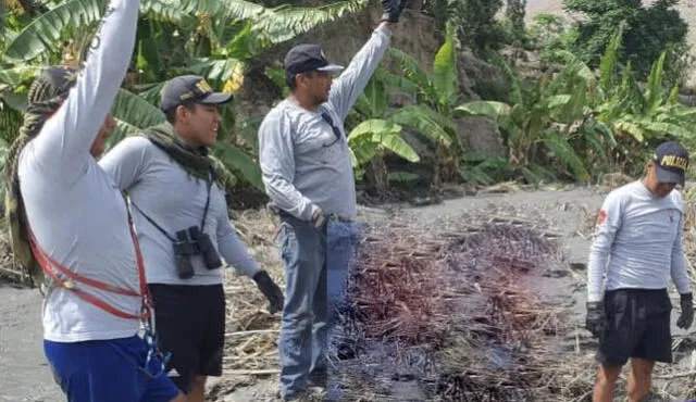 Cuerpo fue encontrado enterrado entre la maleza. Foto: Noticias en Red Chimbote