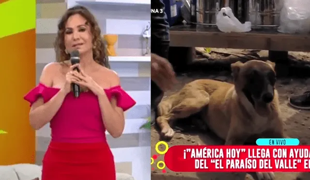 Janet Barboza se conmovió con perrito de Jicamarca. Foto: composición LR/ captura de América TV