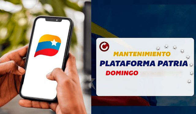 Plataforma Patria se ha convertido en una herramienta importante para Venezuela. Foto: composición LR/Semana/Plataforma Patria/Play Store