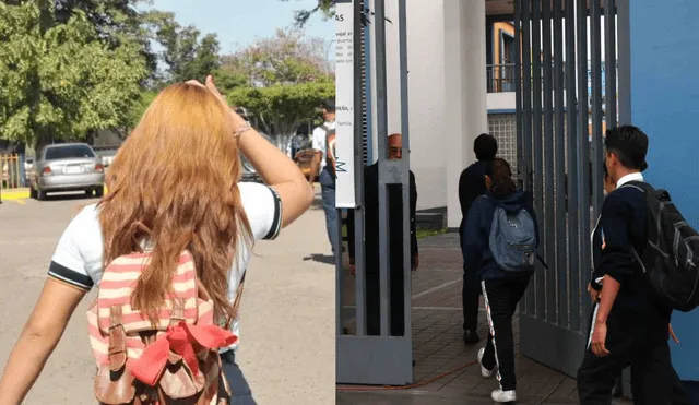 Es común que alumnos de colegios públicos o privados se tiñan el cabello. Foto: composición LR/Andina/Debate.mx