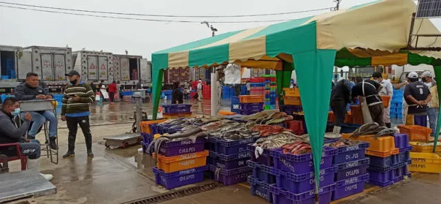 Mayoría de pescado viene a mercados de Trujillo en cámaras. Foto: La República