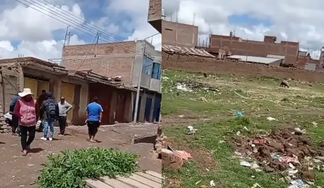 Hallazgo se registró en la urbanización Tambopata de Juliaca. Foto: composición de Luis Fernando/captura de Facebook Onda Azul