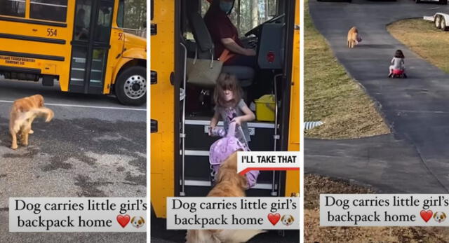 Perrito ayuda a una niña a cargar su mochila y se hace viral | Foto: Captura de Instagram