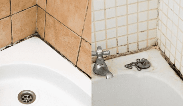 Cómo eliminar el moho de la ducha y paredes del baño? Estos 3 trucos te  ayudarán a conseguirlo, moho negro, trucos caseros, Respuestas