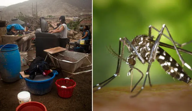 En Lima, se registran más contagios de dengue en distritos de la zona Este, según Minsa. Foto: composición LR/Gabriel García Barandiaran/Minsa/Difusión