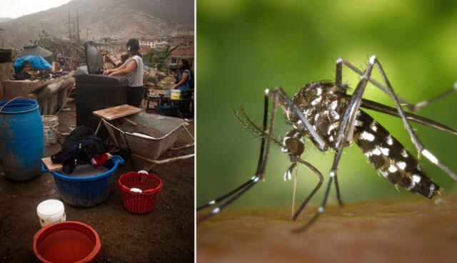 La presencia de lluvias aumentan los casos de contagios por dengue. Foto: composición LR / Gabriel García Barandiaran / Minsa / Difusión