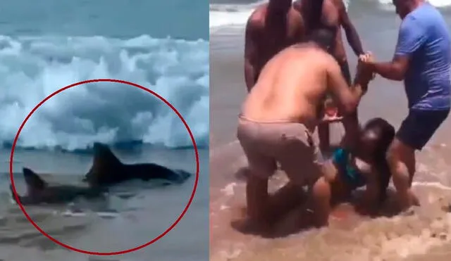 Tiburones atacan a 2 personas en una playa de Brasil, conocida como Jaboatã dos Fuararapes, en la periferia de Recife. Foto: composición LR/Azteca Puebla