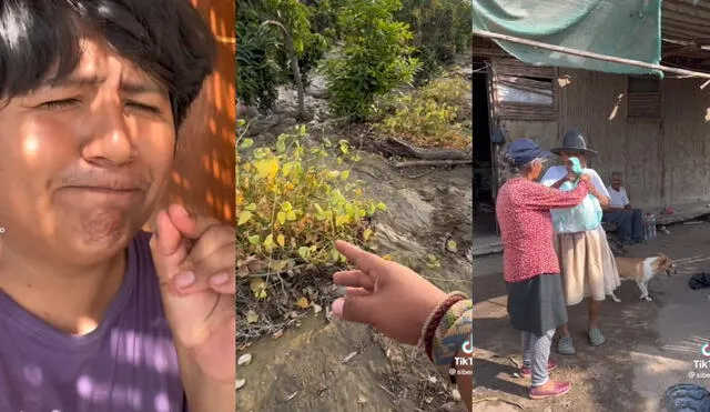 Cultivos de los padres de Sibenito también quedaron dañados por el huaico. Foto: composición de Luis Fernando/captura de Tik tok Sibenitoo