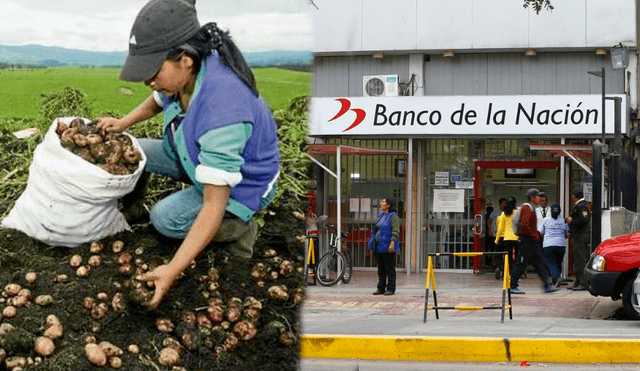 Este subsidio ayudará a los pequeños agricultores a cubrir sus gastos en fertilizantes. Foto: composición LR/Agraria