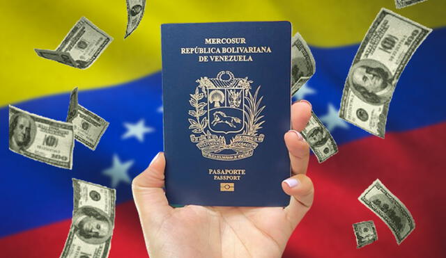 Conoce AQUÍ el costo del pasaporte en Venezuela, tanto en bolívares como en dólares. Foto: composición LR/ Contrapunto/ Freepik