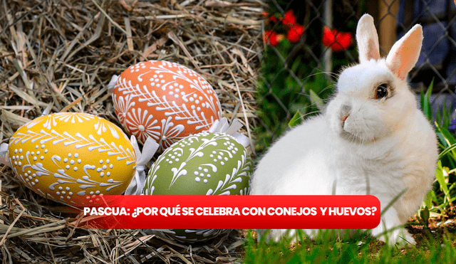 Los huevos y los conejos se asocian con la Pascua como símbolos de fertilidad y renacimiento en las tradiciones paganas. Foto: composición LR/Pixabay