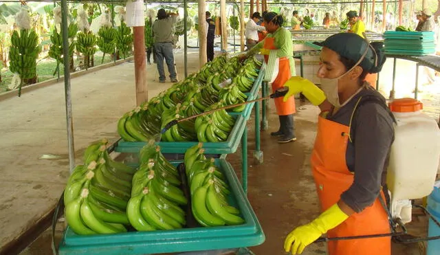 Nuevas tendencias globales en el consumo de alimentos. Foto: Andina