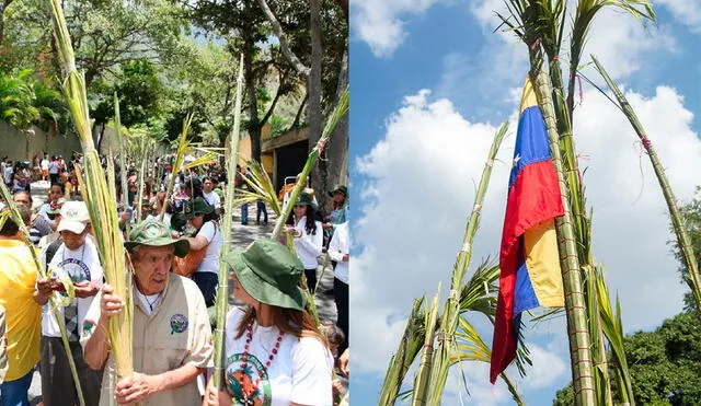 Palmeros de Chacao se desarrolla desde finales del siglo XVII. Foto: composición LR/El Nacional/Jimmy Villalta