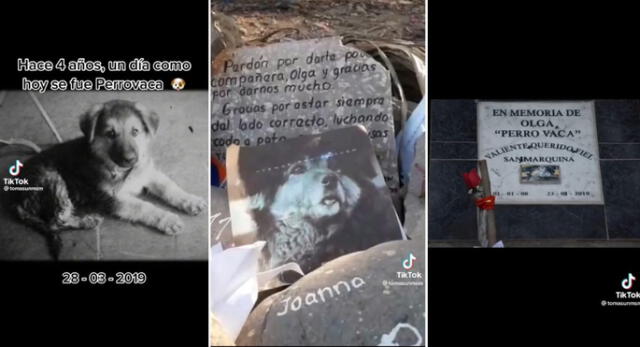 'Perrovaca' es recordada tras 4 años de su muerte. Foto: composición LR/captura de TikTok/Tomas San Marcos