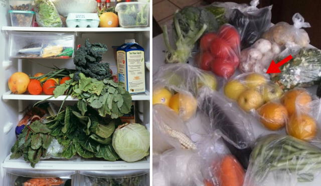 ¿Por qué no debemos guardar verduras en bolsas de plástico en el refrigerador? Foto: composición LR