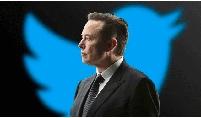 El magnate Elon Musk tiene 133 068 709 seguidores en Twitter. Foto: Sky News
