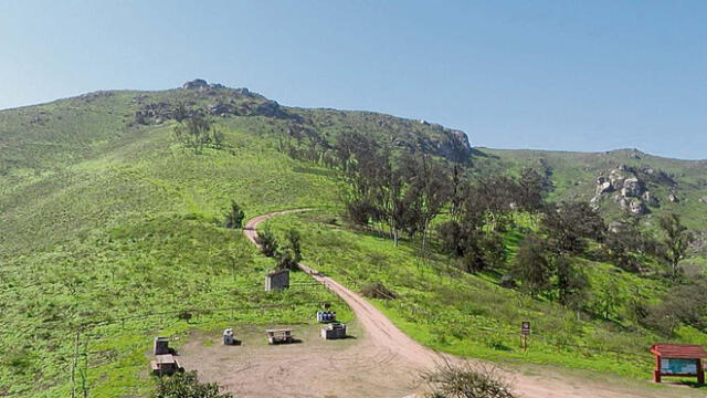 Ecosistema. Estos espacios verdes se hallan amenazados. Foto: difusión