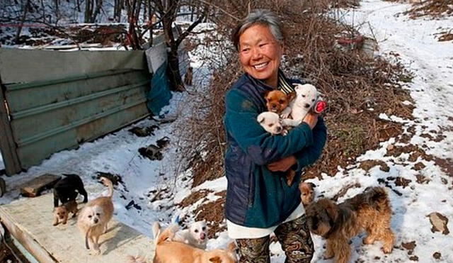 Jung Myoung Sook es una gran defensora de los animales. Foto: Clarín