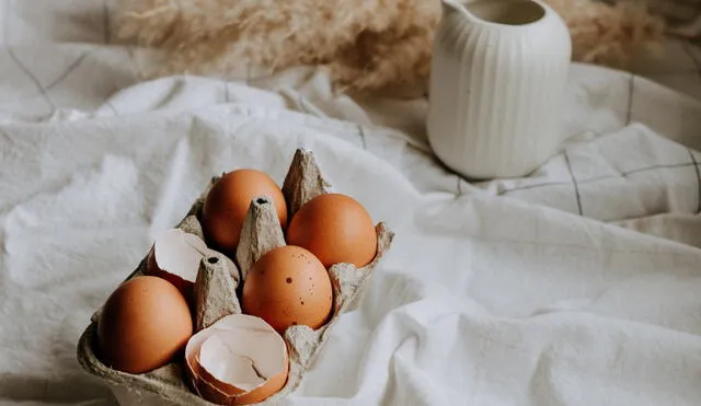 Cáscaras de huevo: por qué debemos darle otros usos y no desecharlas | Foto: Unsplash