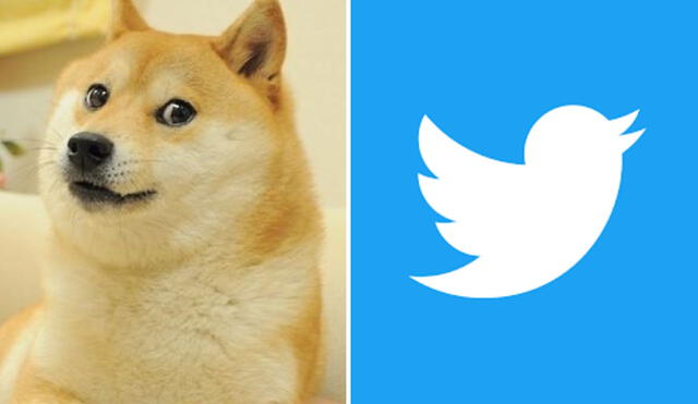 'Doge' es la nueva cara de Twitter. Foto: composición LR/kabosumama/Instagram/Twitter