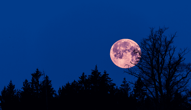 La luna llena de abril es conocida como luna rosa. Foto: referencial / Adobe Stock