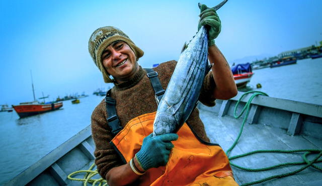 Se recomienda acudir temprano a los terminales para encontrar productos de la primera pesca del día. Foto: El regional de Piura