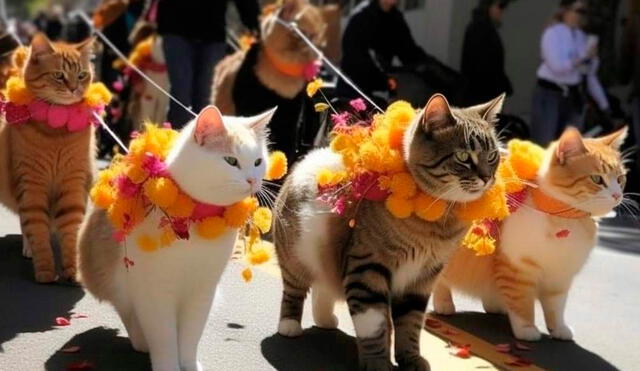 Desfile de gatitos es cuestionado por usuarios en Twitter. Foto: Twitter