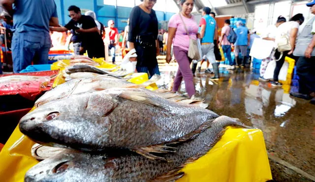 Terminal pesquero de VMT. Peruanos optan por consumir pescado en Semana Santa. Foto: Félix Contreras/LR